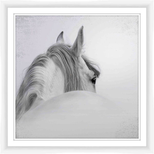 PTM White Horse Framed Photographic Print Wayfair